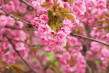 徐州泉山区3线下个人借款平台一站式服务，轻松解决资金难题