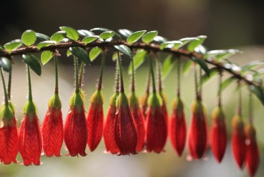 徐州泉山区3零用贷短借：轻松解决临时资金需求