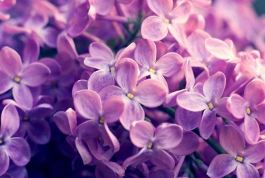 徐州泉山区3企业急用钱贷款攻略：快速融资解燃眉之急